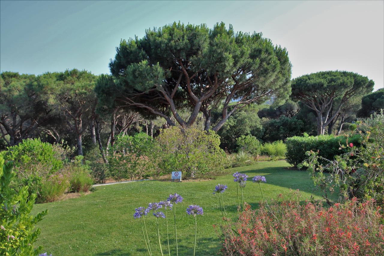 סן-מקסים Appartement Les Pins Bleus A8 מראה חיצוני תמונה
